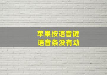 苹果按语音键 语音条没有动